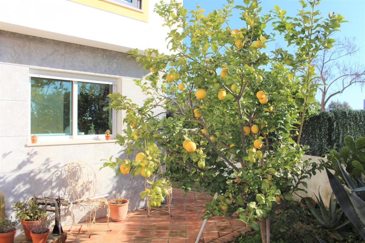 Villa Do Limao Tavira Zewnętrze zdjęcie